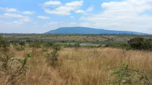 10 Acres Land for Sale in Thika