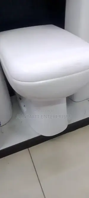Square Back to Wall Toilet