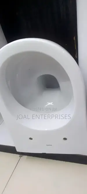 Oval Back to Wall Toilet