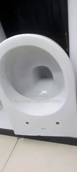 Oval Back to Wall Toilet