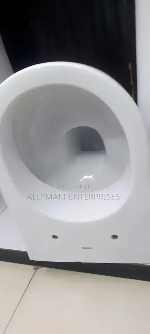 Oval Back to Wall Toilet