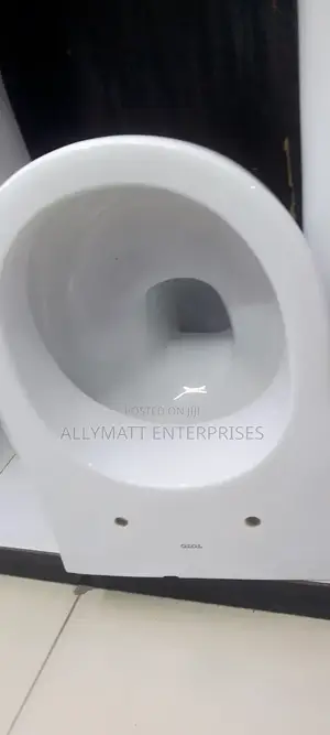 Oval Back to Wall Toilet