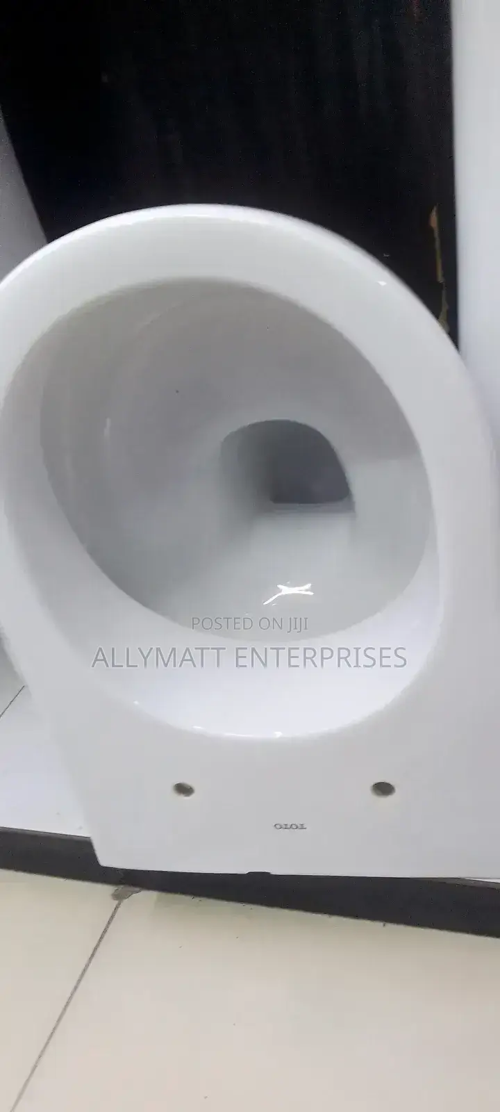 Oval Back to Wall Toilet
