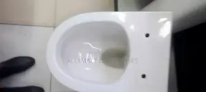 Oval Back to Wall Toilet