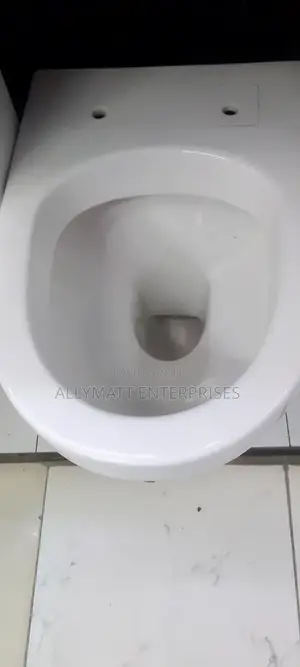Oval Back to Wall Toilet
