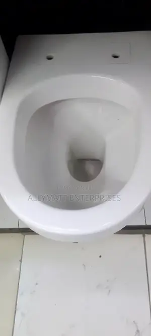 Oval Back to Wall Toilet