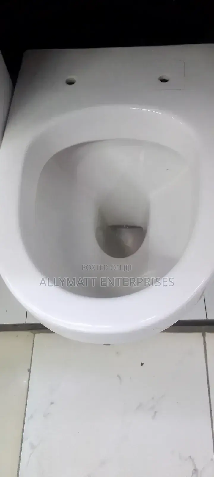 Oval Back to Wall Toilet