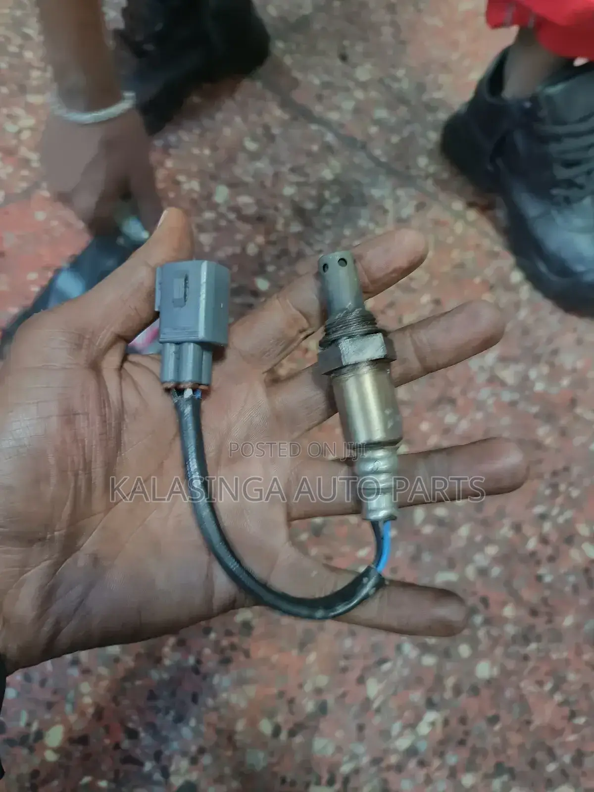 Mark X Oxygen Sensor