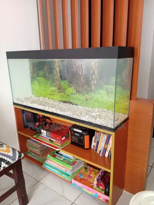 Aquarium Aquarium 3ft
