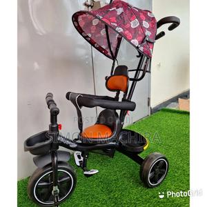 Tricycle With Canopy - main view