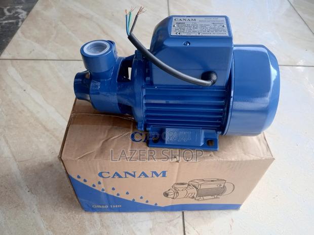 Canam Boaster Pump 1hp - thumbnail 3