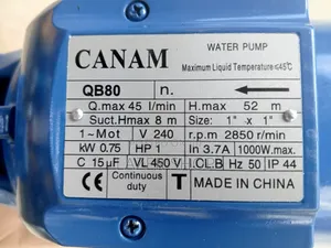 Canam Boaster Pump 1hp