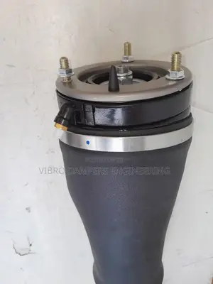 RANGE ROVER L322 Front Air Suspension Shock Absorber