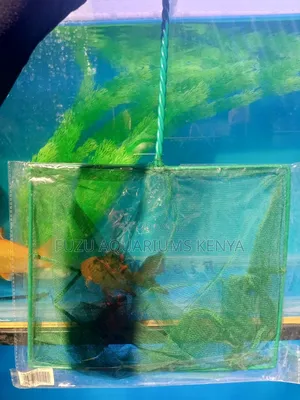12 Inch Fish Net XL