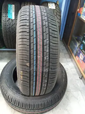 265/55r20 Bridgestone Dueler Tire
