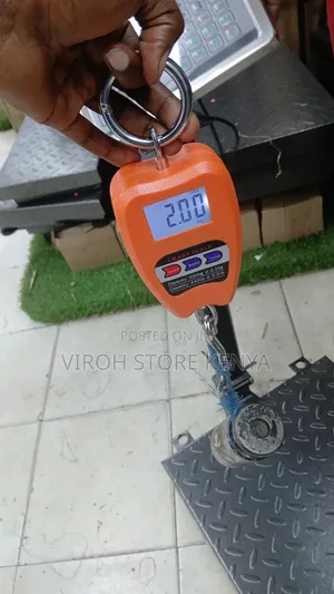 Accurate Digital Weighing Scale 200kgs Mini Crane Scale