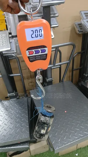 Accurate Digital Weighing Scale 200kgs Mini Crane Scale