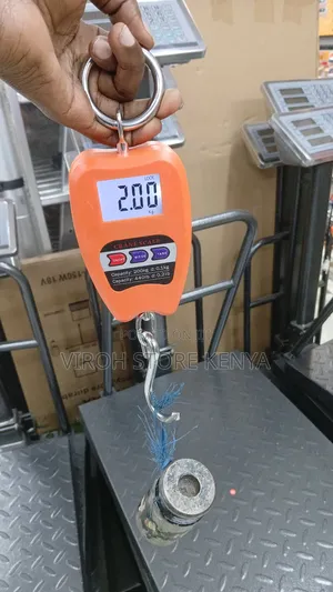 Accurate Digital Weighing Scale 200kgs Mini Crane Scale