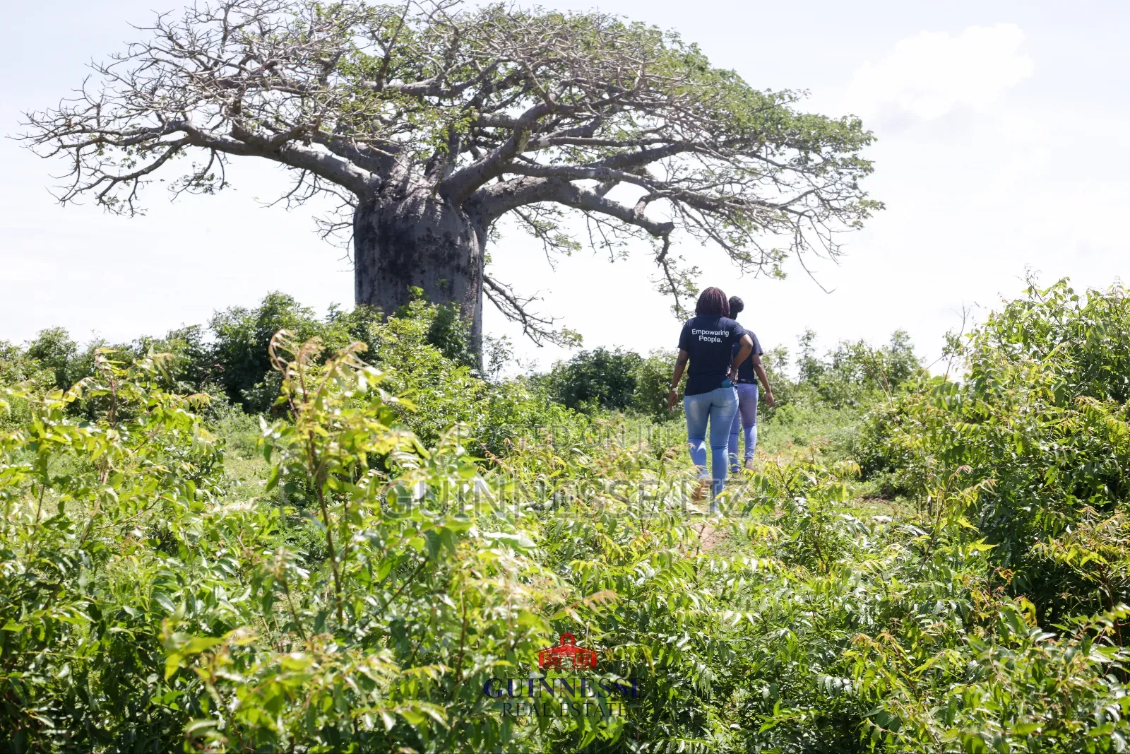 Malindi Phase One Prime Plots for Sale