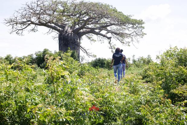 Malindi Phase One Prime Plots for Sale - thumbnail 3