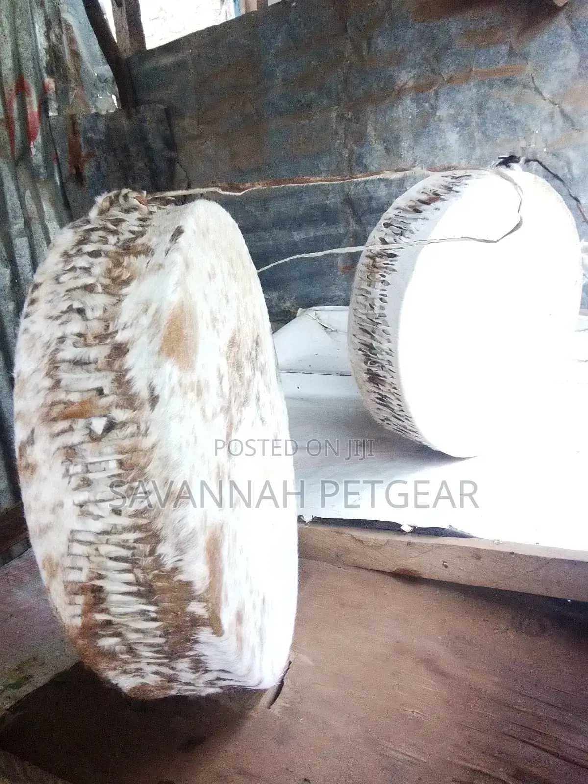 Cowhide Drum in Mint Condition 12 Inches Diameter