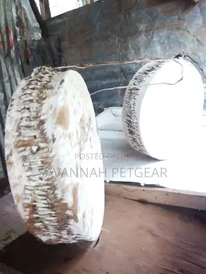 Cowhide Drum in Mint Condition 12 Inches Diameter