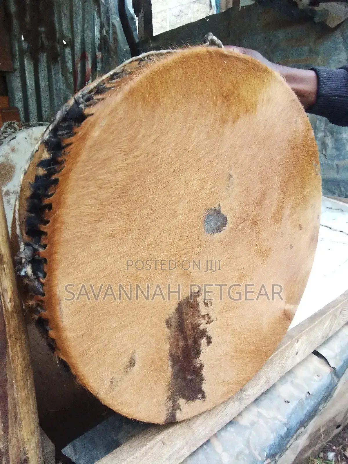 Cowhide Drum in Mint Condition 12 Inches Diameter