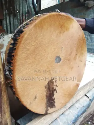 Cowhide Drum in Mint Condition 12 Inches Diameter