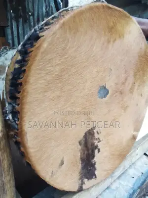 Cowhide Drum in Mint Condition 12 Inches Diameter