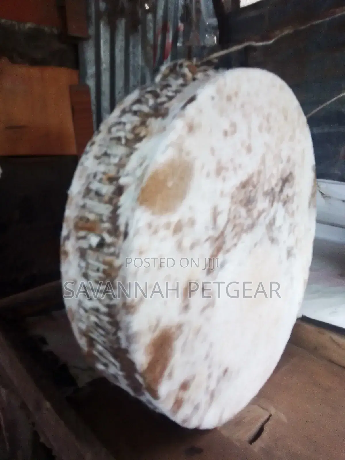 Cowhide Drum in Mint Condition 12 Inches Diameter