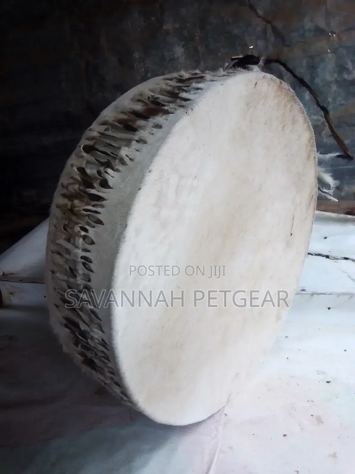 Cowhide Drum in Mint Condition 12 Inches Diameter
