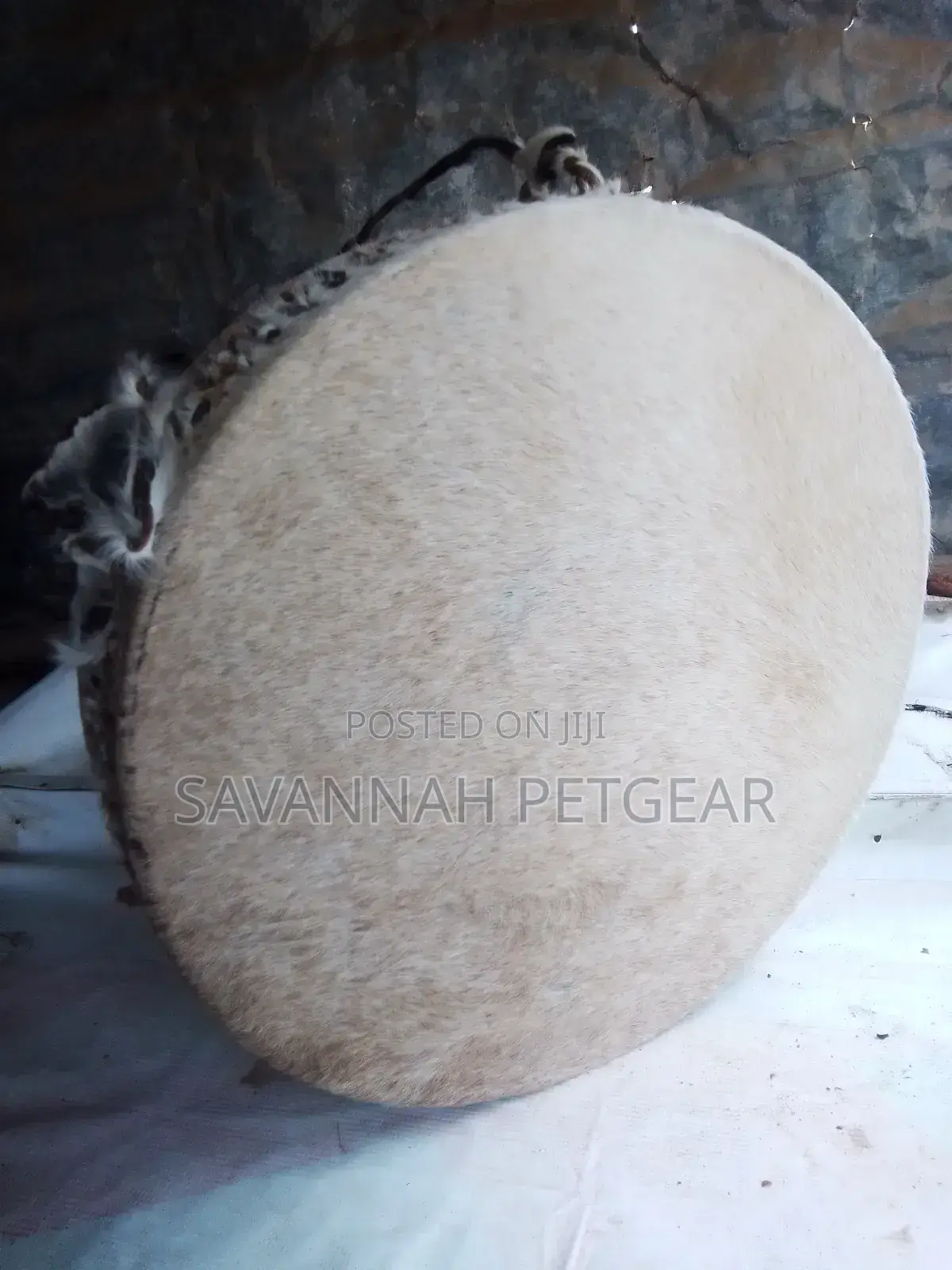 Cowhide Drum in Mint Condition 12 Inches Diameter