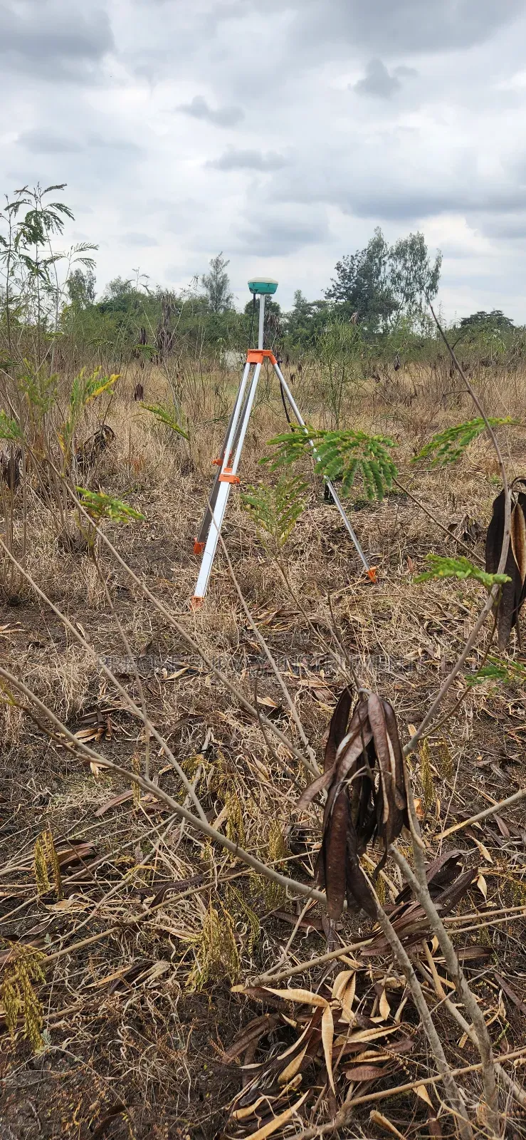 Land Surveyors.