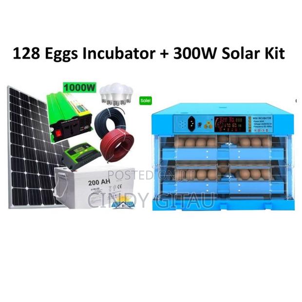 128eggs Solar Incubator Ac / Dc Fully Automatic Eggs Incubat