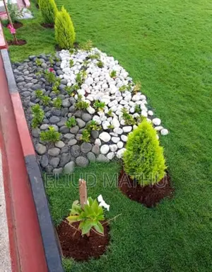 River Stones