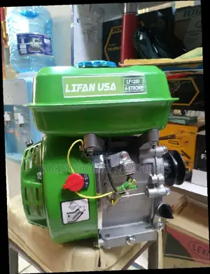 Lifan Agricultural Engine