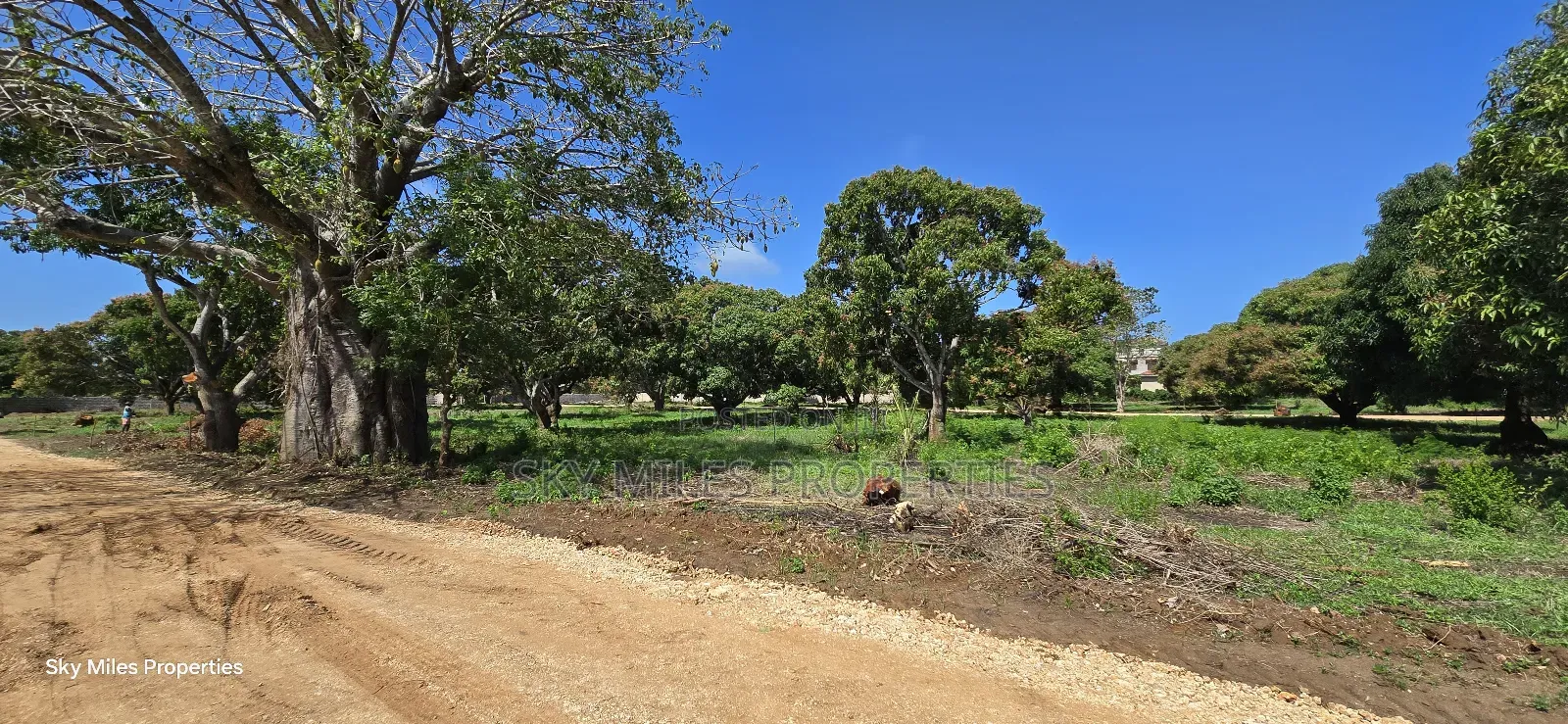 Kikambala, Prime Plots for Sale