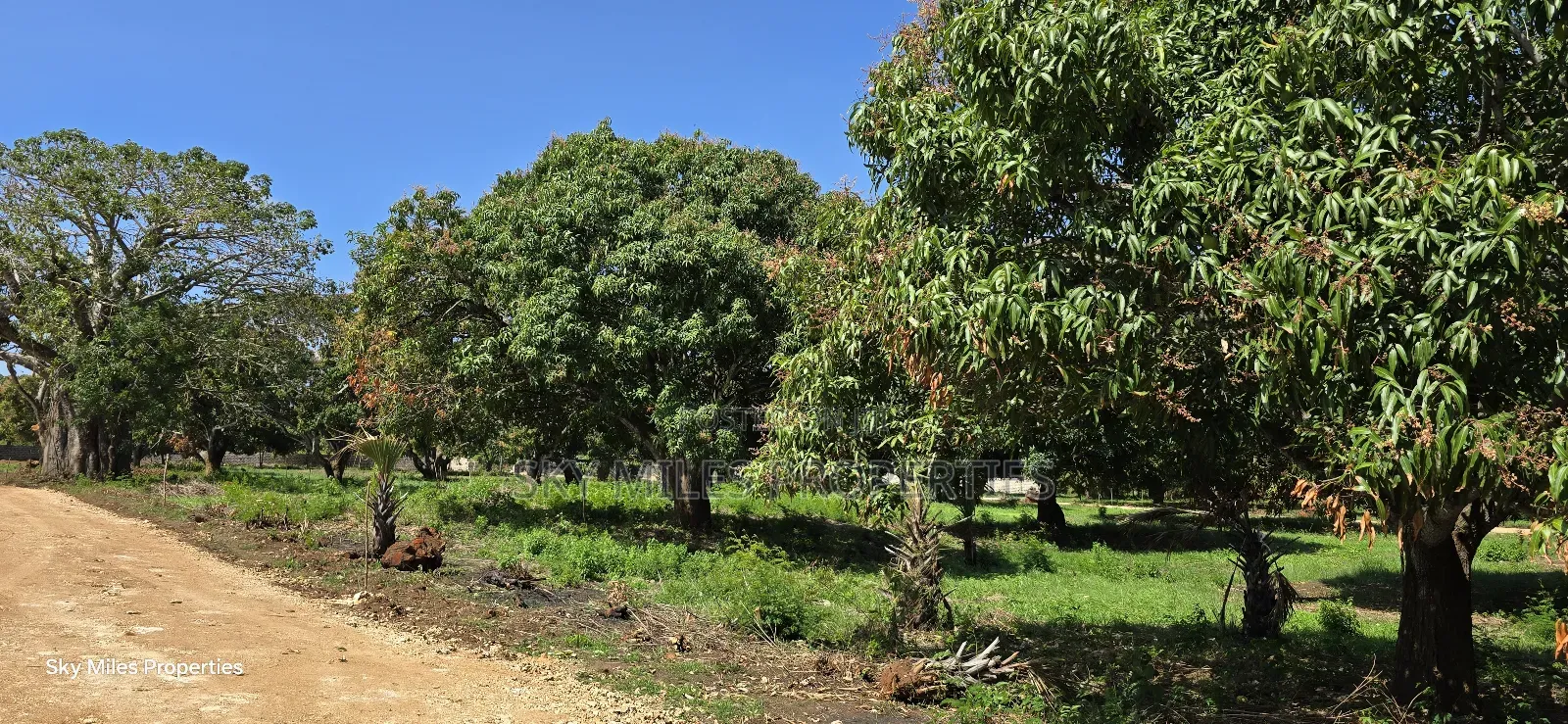 Kikambala, Prime Plots for Sale