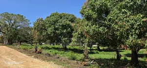 Kikambala, Prime Plots for Sale