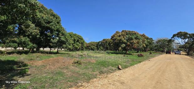 Kikambala, Prime Plots for Sale - thumbnail 13