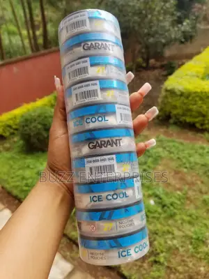 Grant Snus Nicotine Pouches 50mg
