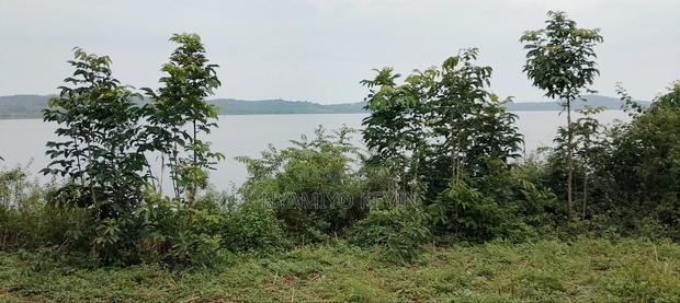 Nyamonye Ugambe Beach Front - thumbnail 7