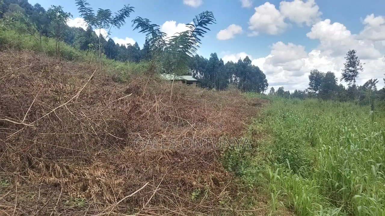 Kakrao 60 by 150 Plot Next to Magina Sda