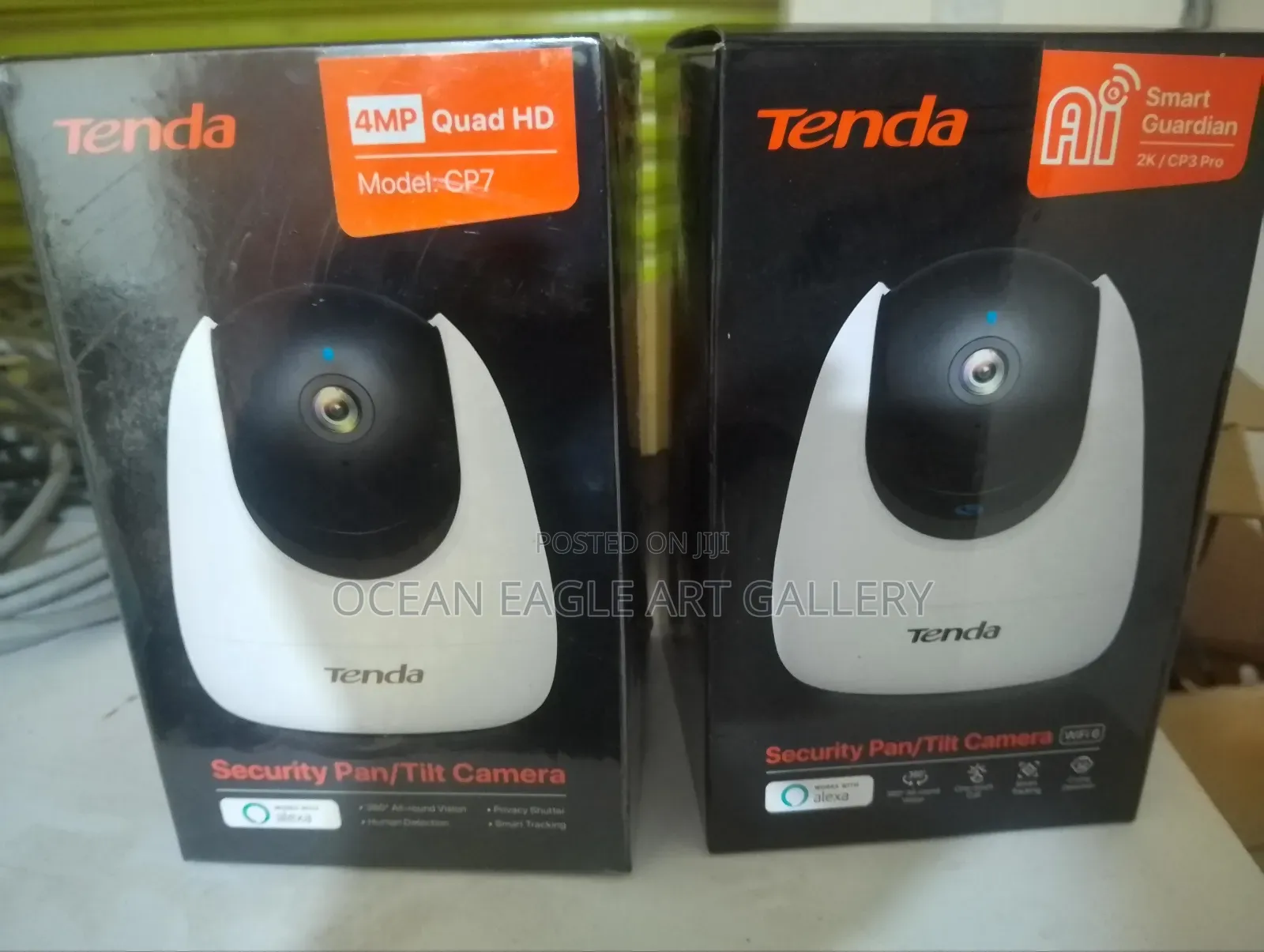 Cctv Cameras/Installation/Electric Fence