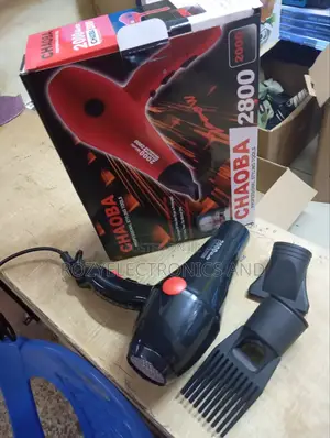 Chaoba Professional Hair Dryer