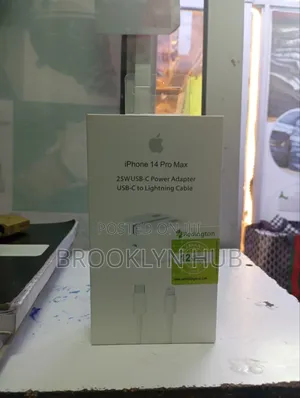 25 Watts iPhone Charger