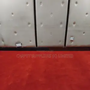 Redcarpet41