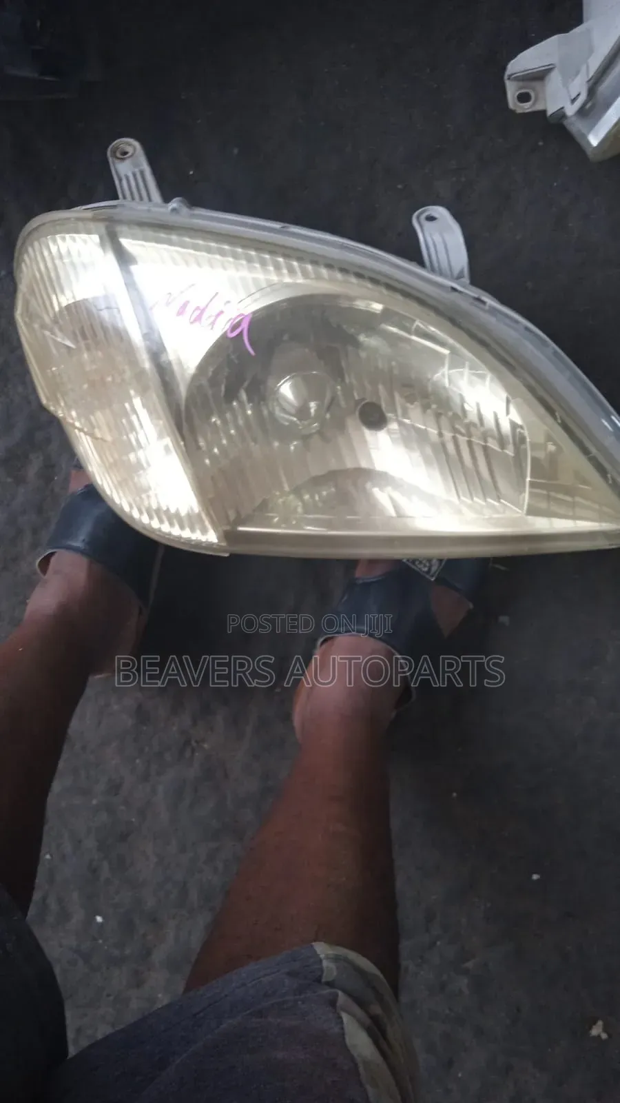 Toyota Nadia and Headlight