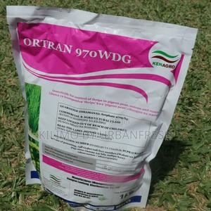 Otran 970WG 1 Kg - thumbnail 2