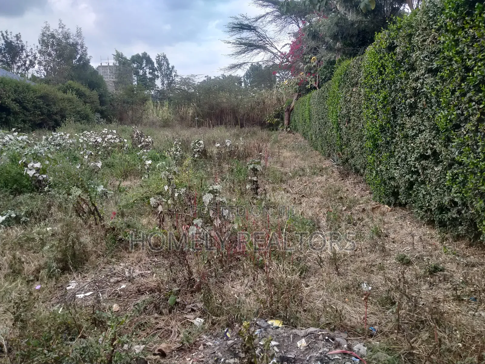Commercial Quarter Acre in Ongata Rongai Nkoroi Near Tarmac